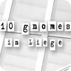 10 Gnomes in Liege гра