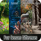 Four Seasons Differences гра