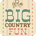 Big Country Fun гра