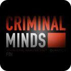 Criminal Minds гра