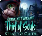 Curse at Twilight: Thief of Souls Strategy Guide гра