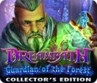 Dreampath: Guardian of the Forest Collector's Edition гра