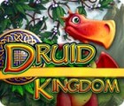 Druid Kingdom гра