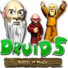 Druid's Battle of Magic гра