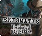 Enigmatis: The Ghosts of Maple Creek гра