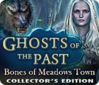 Ghosts of the Past: Bones of Meadows Town Collector's Edition гра