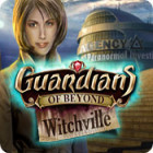 Guardians of Beyond: Witchville гра