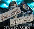 Hidden in Time: Looking-glass Lane Strategy Guide гра