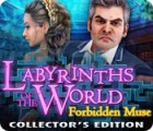 Labyrinths of the World: Forbidden Muse Collector's Edition гра