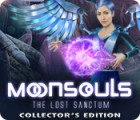 Moonsouls: The Lost Sanctum Collector's Edition гра