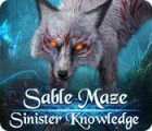 Sable Maze: Sinister Knowledge Collector's Edition гра