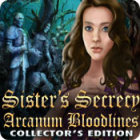 Sister's Secrecy: Arcanum Bloodlines Collector's Edition гра