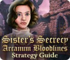 Sister's Secrecy: Arcanum Bloodlines Strategy Guide гра