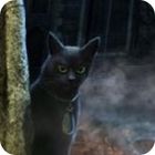 The Curse of the Werewolves Collector's Edition гра The Curse of the Werewolves Collector's Edition гра
