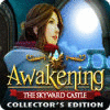 Awakening: The Skyward Castle Collector's Edition гра