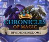Chronicles of Magic: The Divided Kingdoms гра