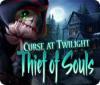 Curse at Twilight: Thief of Souls гра