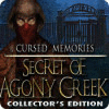 Cursed Memories: The Secret of Agony Creek Collector's Edition гра