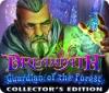 Dreampath: Guardian of the Forest Collector's Edition гра
