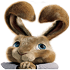 Hop: Easter Bunny Coloring гра
