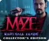 Maze: Nightmare Realm Collector's Edition гра