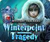 Mystery Trackers: Winterpoint Tragedy гра