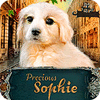 Precious Sophie гра