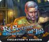Reflections of Life: Dream Box Collector's Edition гра