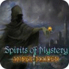 Spirits of Mystery: Amber Maiden Collector's Edition гра