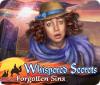 Whispered Secrets: Forgotten Sins гра